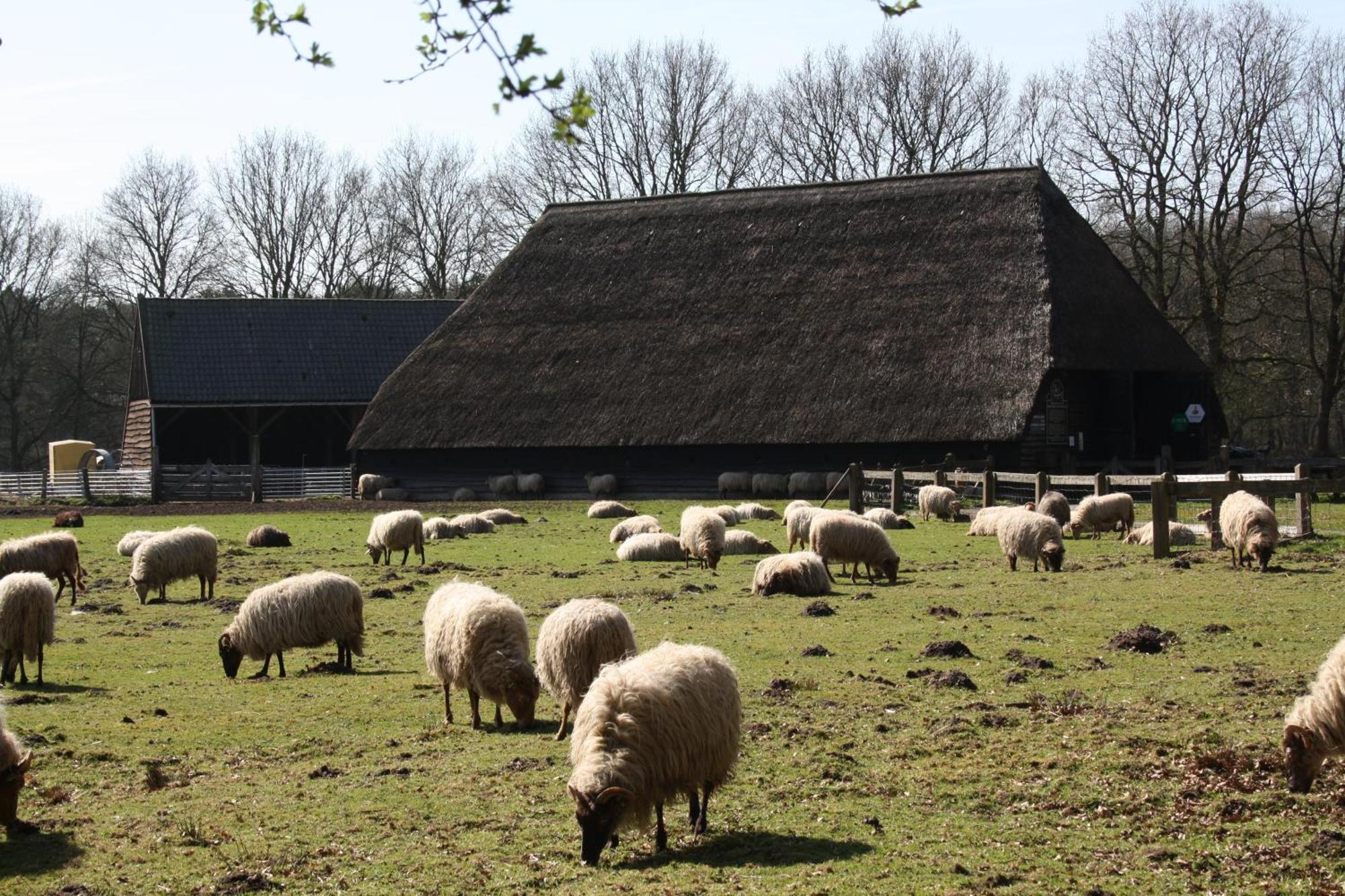 Herberg De Roskam Uffelte Exteriér fotografie